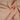 Musselin Stoff – Apricot